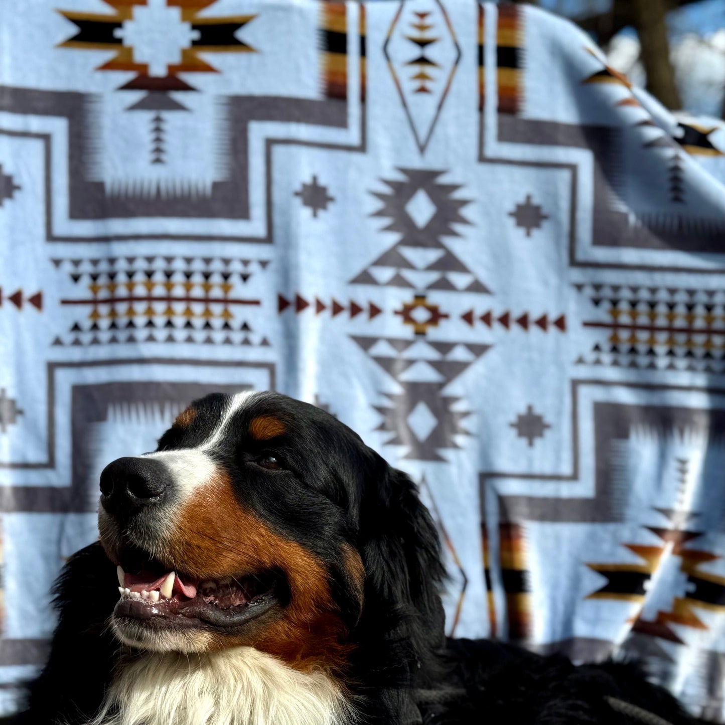 Arctic Blue Fleece Blanket