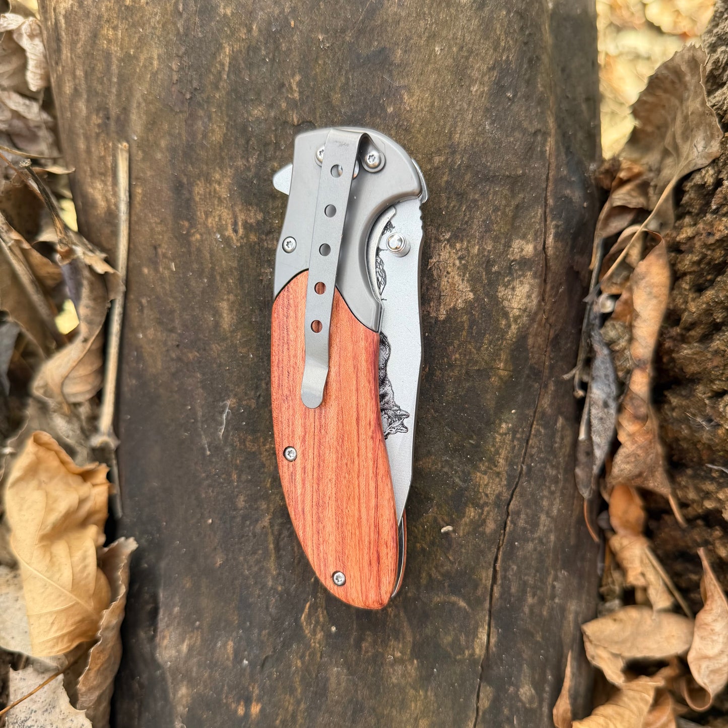 SABE Pocket Knife
